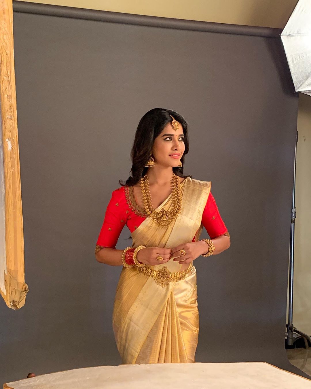 నభా నటేష్ ఫొటోస్ (Credit - Insta - nabhanatesh)
