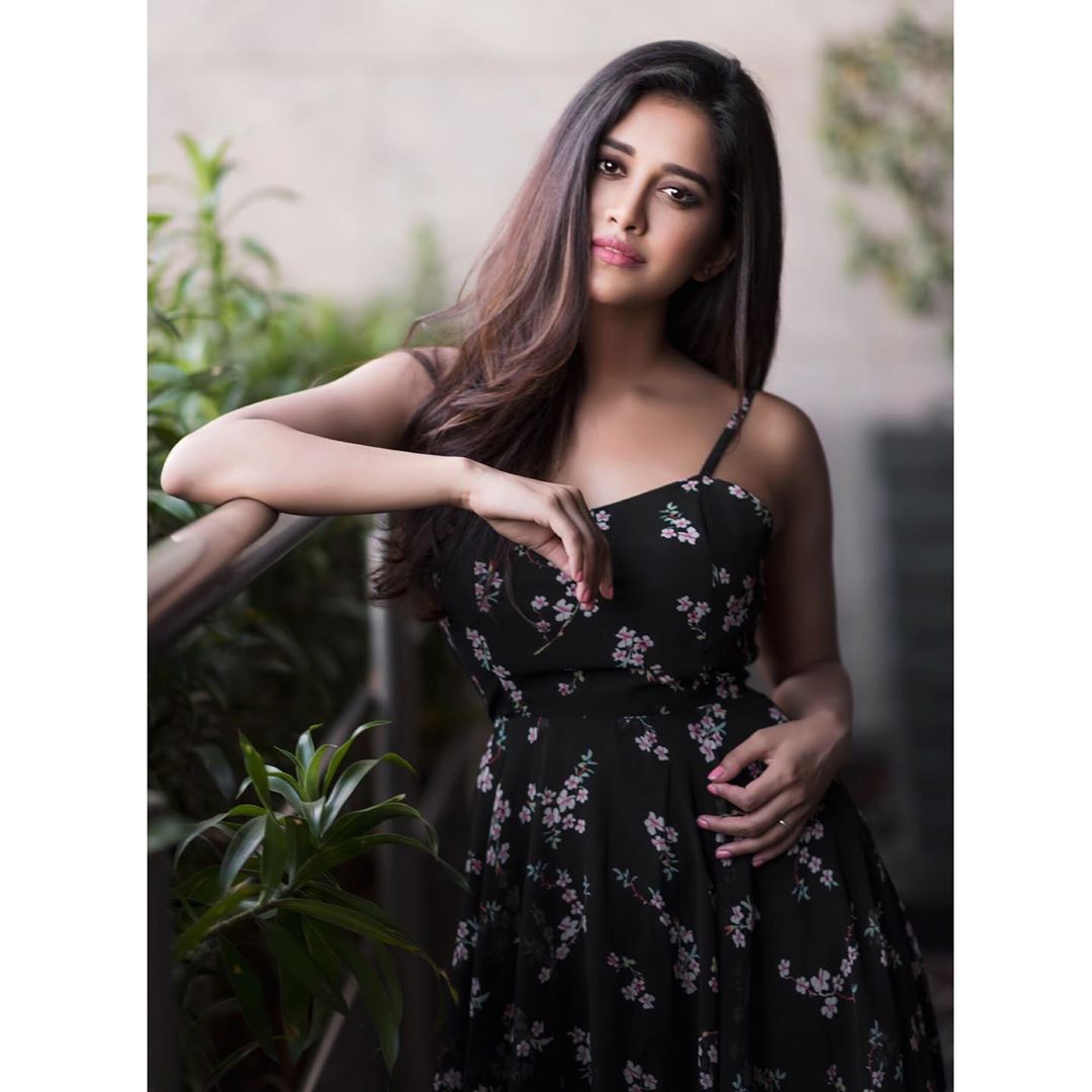 నభా నటేష్ ఫొటోస్ (Credit - Insta - nabhanatesh)