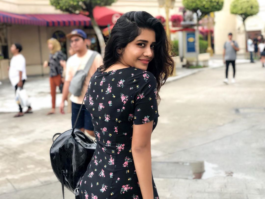 నభా నటేష్ ఫొటోస్ (Credit - Insta - nabhanatesh)