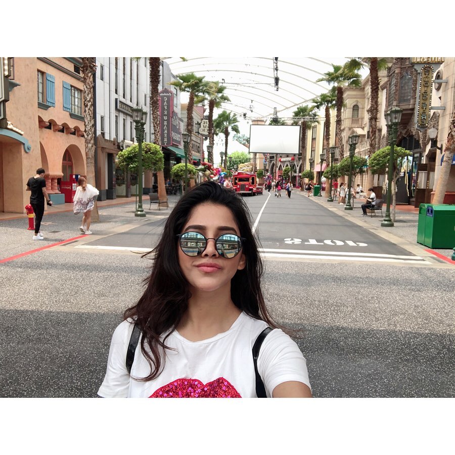 నభా నటేష్ ఫొటోస్ (Credit - Insta - nabhanatesh)