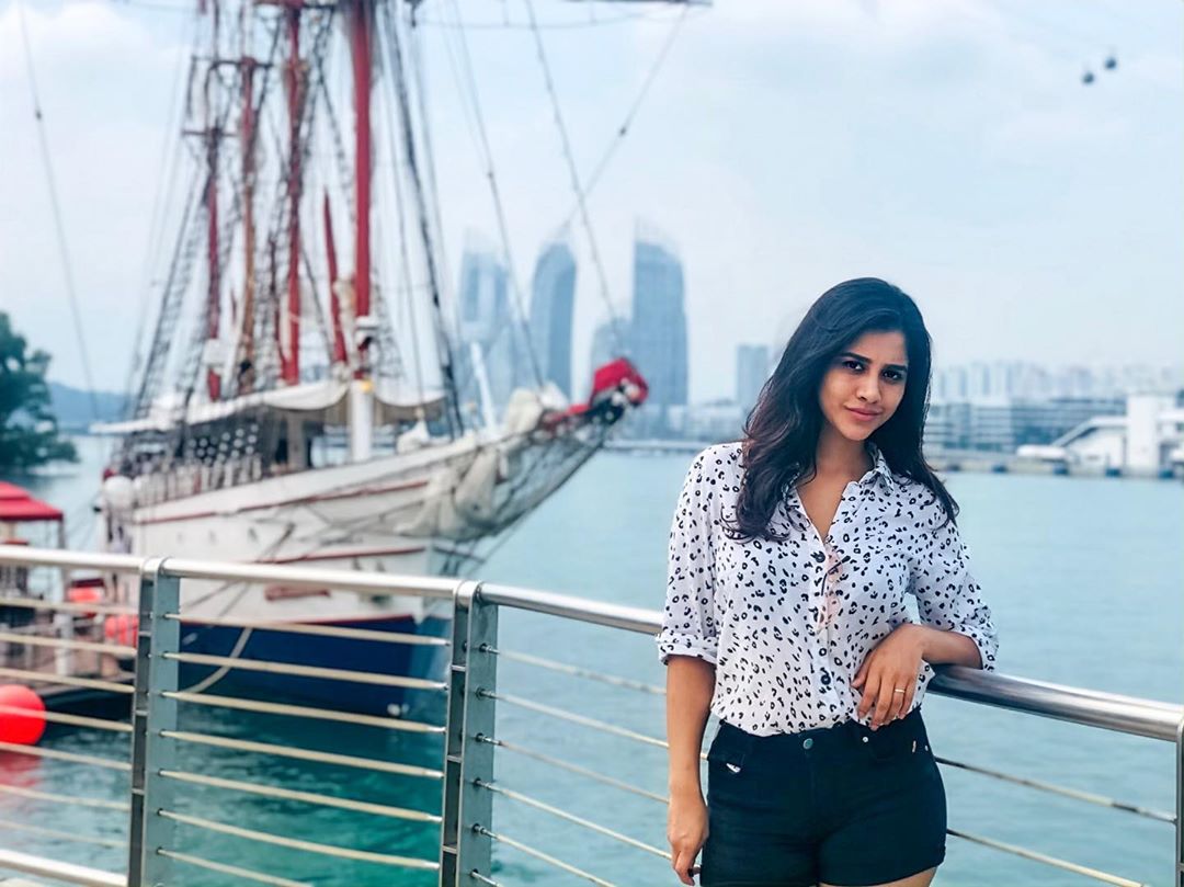 నభా నటేష్ ఫొటోస్ (Credit - Insta - nabhanatesh)