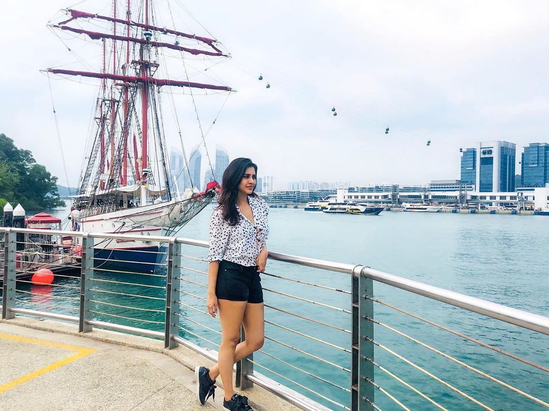 నభా నటేష్ ఫొటోస్ (Credit - Insta - nabhanatesh)