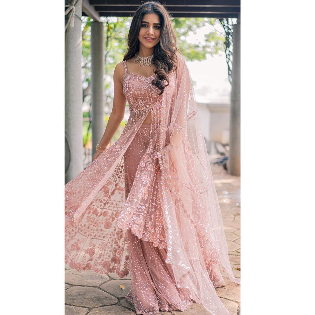 నభా నటేష్ ఫొటోస్ (Credit - Insta - nabhanatesh)