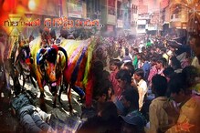 Video: గుజరాత్‌లో గై గోహ్రీ పండుగ.. భక్తులు మీదుగా గోవులు
