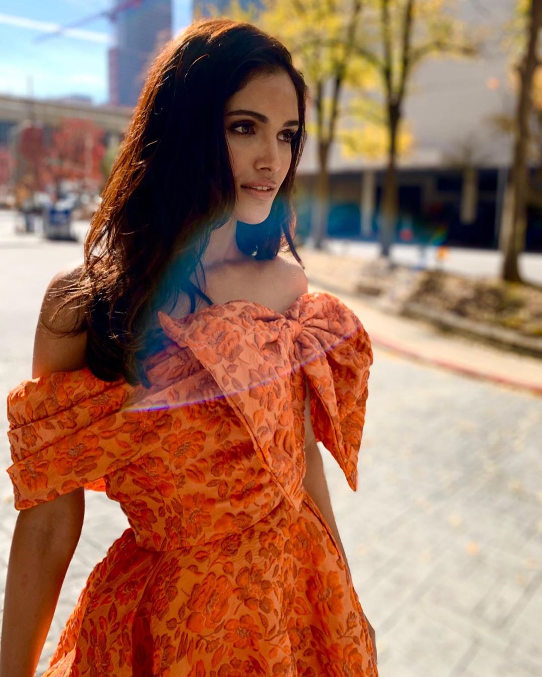 వర్తికా సింగ్ ఫొటోస్ (credit - insta - vartikasinghh)