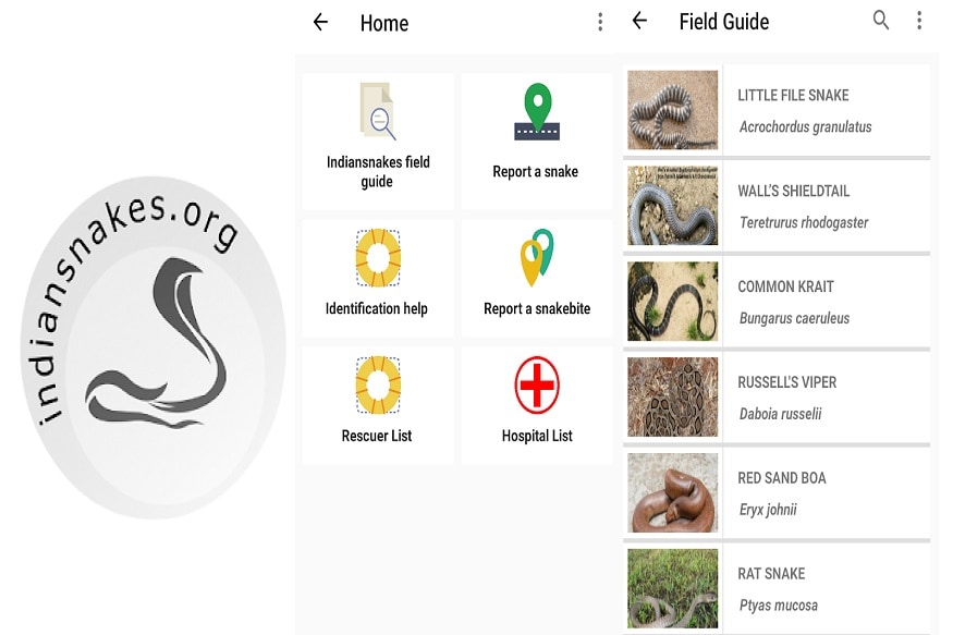 Indian Snakes app, Indian Snakes app download, Wildlife Trust of India Indian Snakes app, snake bite, snake bite symptoms, snake bite treatment, snake bite first aid, ఇండియన్ స్నేక్స్ యాప్, ఇండియన్ స్నేక్స్ యాప్ డౌన్‌లోడ్, వైల్డ్‌లైఫ్ ట్రస్ట్ ఆఫ్ ఇండియా ఇండియన్ స్నేక్స్ యాప్, పాము కాటు, పాము కాటు లక్షణాలు, పాము కాటు చికిత్స, పాముకాటు ప్రాథమిక చికిత్స