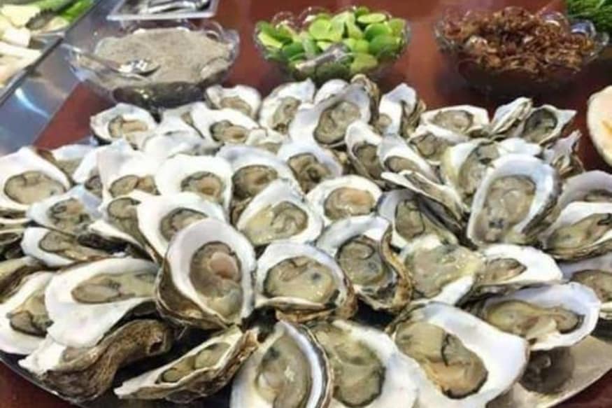 News18 Telugu నత్త మాంసంతో గుండెకు మేలు అంటున్న శాస్త్రవేత్తలు