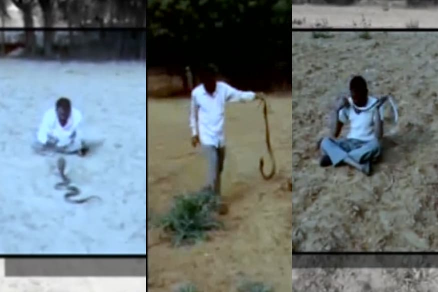 Video: మందెక్కువై పాముతో పరాచకాలు... కాటేస్తే... | Drunken man fighting ...