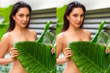నాగార్జున భామ కొబ్బరి ఆకు .. మహేష్ భామ అరిటాకు.. ఇంతకీ మేటరేమింటే.. నాగార్జున భామ కొబ్బరి ఆకు .. మహేష్ భామ అరిటాకు.. ఇంతకీ మేటరేమింటే..