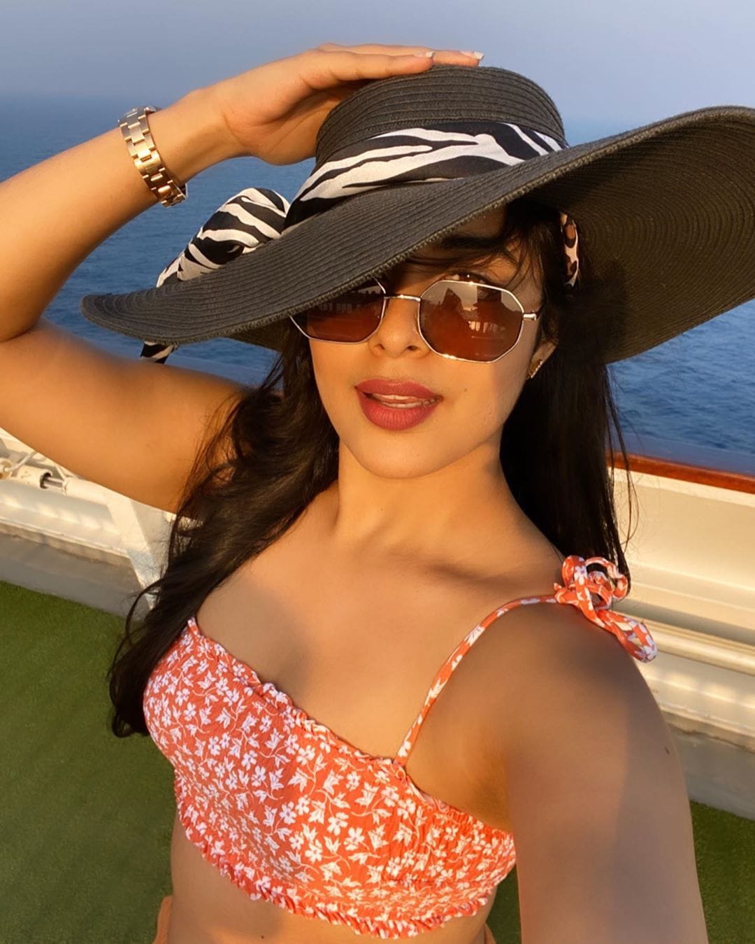  నిఖితా శర్మ లేటెస్ట్ పిక్స్ Photo : Instagram/nikitasharma_official