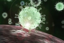 Coronavirus : కరోనాపై టిక్‌టాక్‌లో ప్రపంచ ఆరోగ్య సంస్థ ప్రచారం... వైరల్ వీడియో...