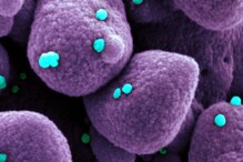 Coronavirus: కరోనా అనుమానితులపై నిఘా... ఇండియాలోనే తొలి యాప్ రూపొందించిన తెలంగాణ