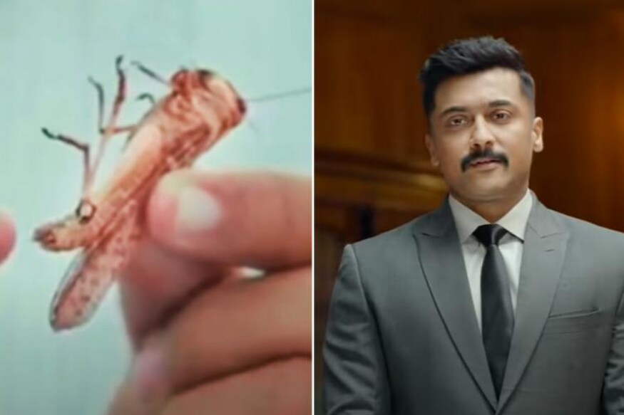 సూర్య బందోబస్త్ సినిమా (suriya kaappaan movie)