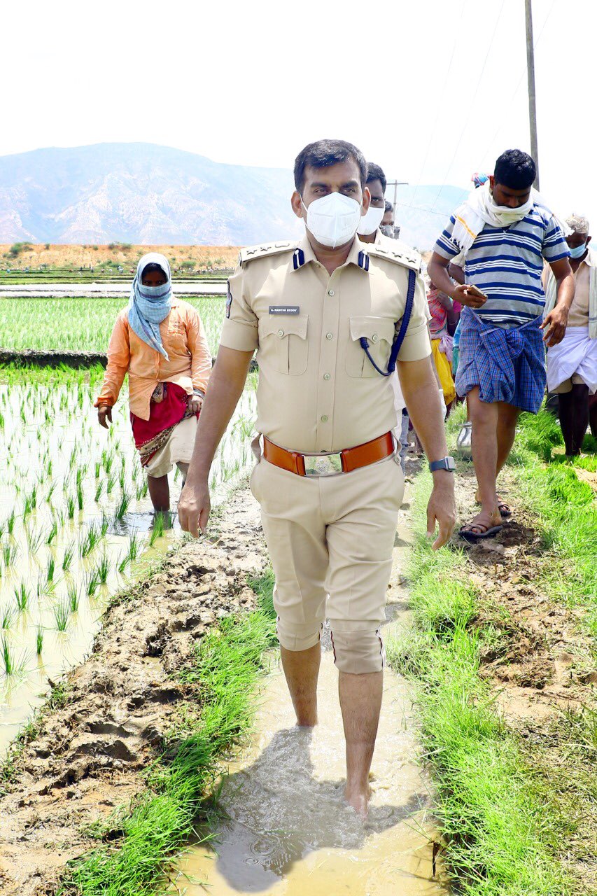 News18 Telugu Pics ప ల ల ద గ న ప ల స త ప క పట ట చ త త వర న ట ల Tirupati Urban Sp Ramesh Reddy Works In Paddy Fields As Farmer Telugu News Today S Latest News In Telugu