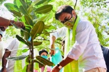 చెరువులు, కుంటల పక్కన మొక్కలు నాటాలి.. మంత్రి కేటీఆర్ పిలుపు