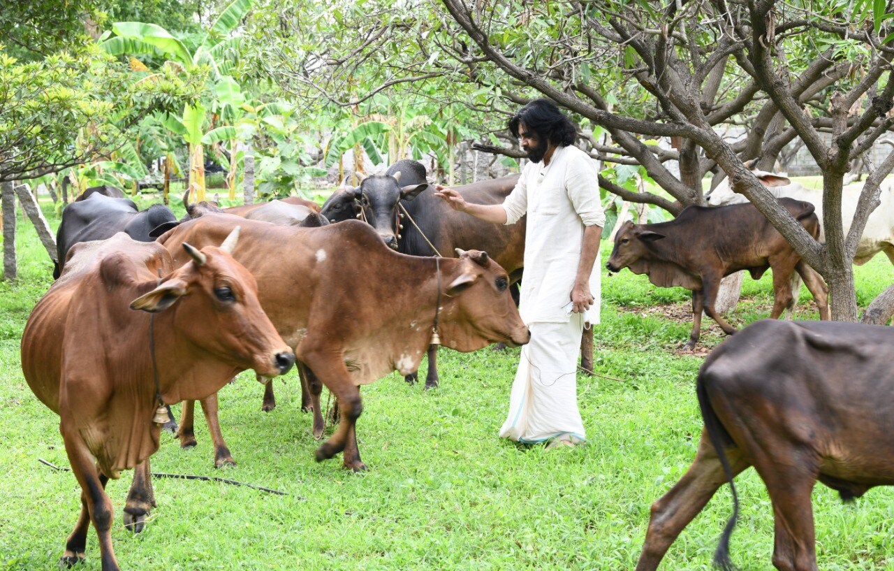 పవన్ కళ్యాణ్ (Pawan Kalyan)