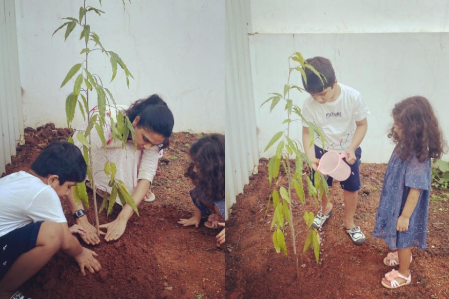 అల్లు స్నేహా రెడ్డి గ్రీన్ ఇండియా ఛాలెంజ్ (Allu Sneha green india challenge)