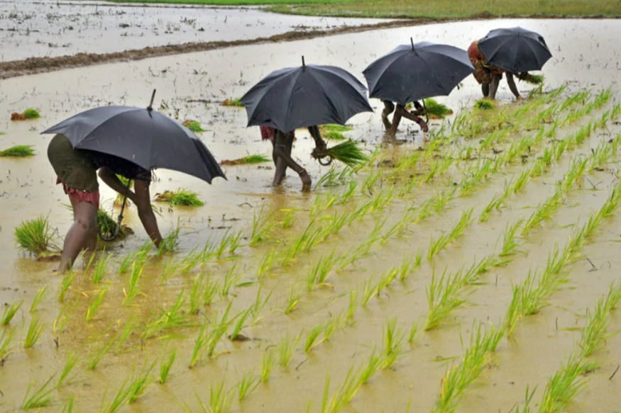 YSR Agri Labs, Andhra Pradesh, YSR Agri labs, ap labs, ఆంధ్రప్రదేశ్ రైతులు, వైఎస్ఆర్ అగ్రి ల్యాబ్స్, ఏపీ రైతులు,