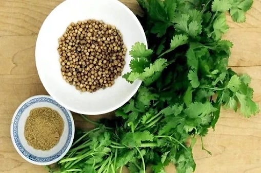 కొత్తిమీరతో అద్భుత ఆరోగ్య ప్రయోజనాలు