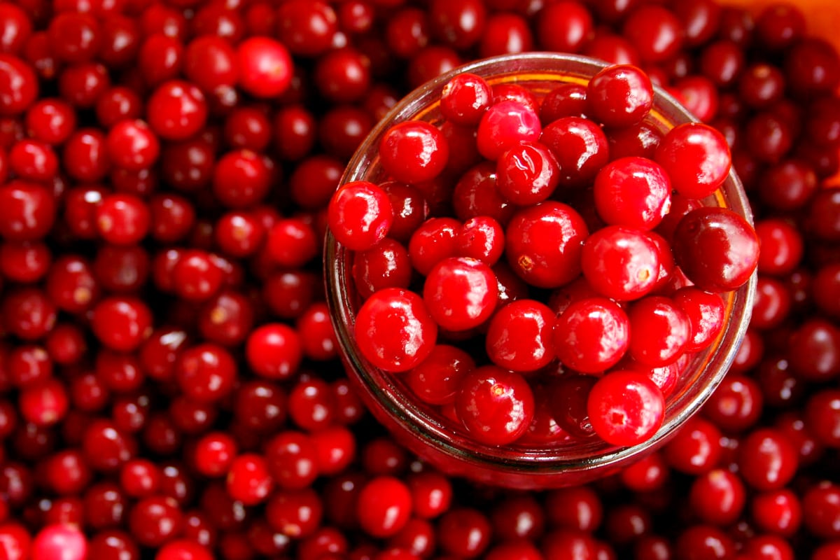 Cranberries: క్రాన్‌బెర్రీస్ మనం ఎందుకు తినాలి? కలిగే ప్రయోజనమేంటి? |  Health Benefits of Cranberries best to eat as dry fruits nk– News18 Telugu