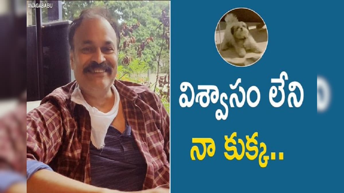 నాగబాబు మరో ట్వీట్.. విశ్వాసం లేని కుక్క అంటూ.. Mega Brother Nagababu