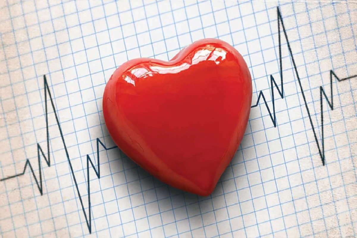 World heart day 2020, heart day 2020, 2020 World heart day, tips for a healthy heart, how to improve heart health, tips to improve heart health naturally, heart health tips, world heart day, exercise for heart health, గుండె ఆరోగ్యానికి చిట్కాలు, గుండె ఆరోగ్యం, గుండె ఆరోగ్యంగా ఉండాలంటే ఏం చేయాలి, గుండె ఆరోగ్యంగా ఉండాలంటే, గుండె వ్యాధులు, గుండె జబ్బులు