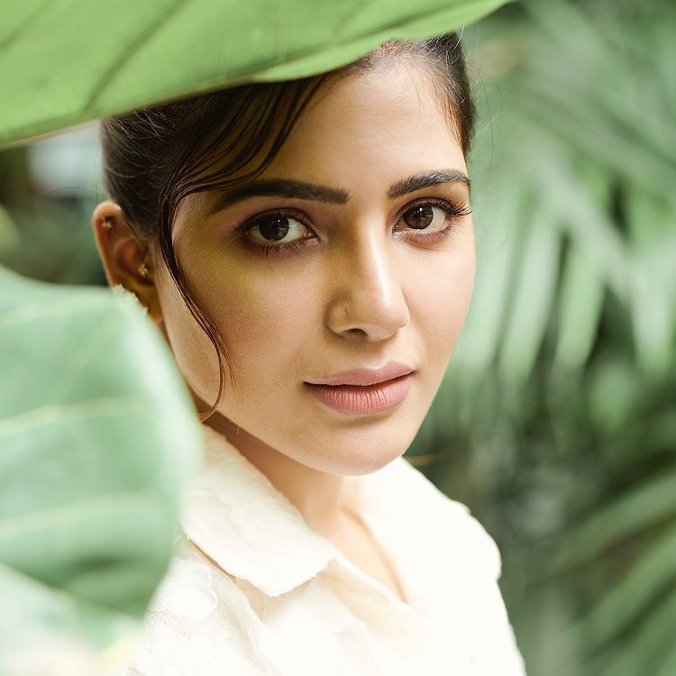 సమంత అక్కినేని న్యూ ఫోటోషూట్ (Samantha Akkineni/Instagram) .