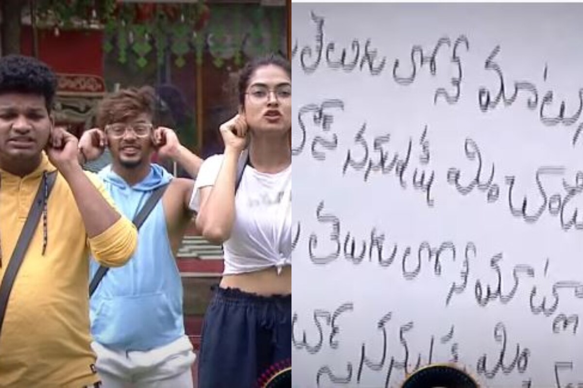 బిగ్ బాస్ 4 తెలుగు (bigg boss 4 telugu)