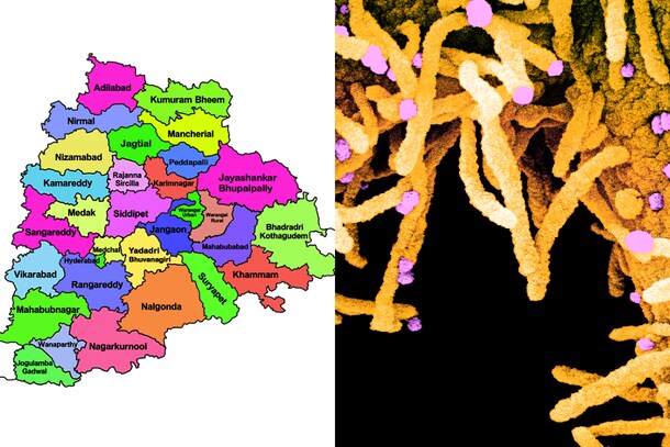 TS Corona: తెలంగాణలో కరోనా తగ్గుముఖం.. కొత్త కేసులు ఎన్నంటే..