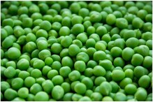 Green Peas Health Benefits: బఠాణీలతో 9 అద్భుత ఆరోగ్య ప్రయోజనాలు