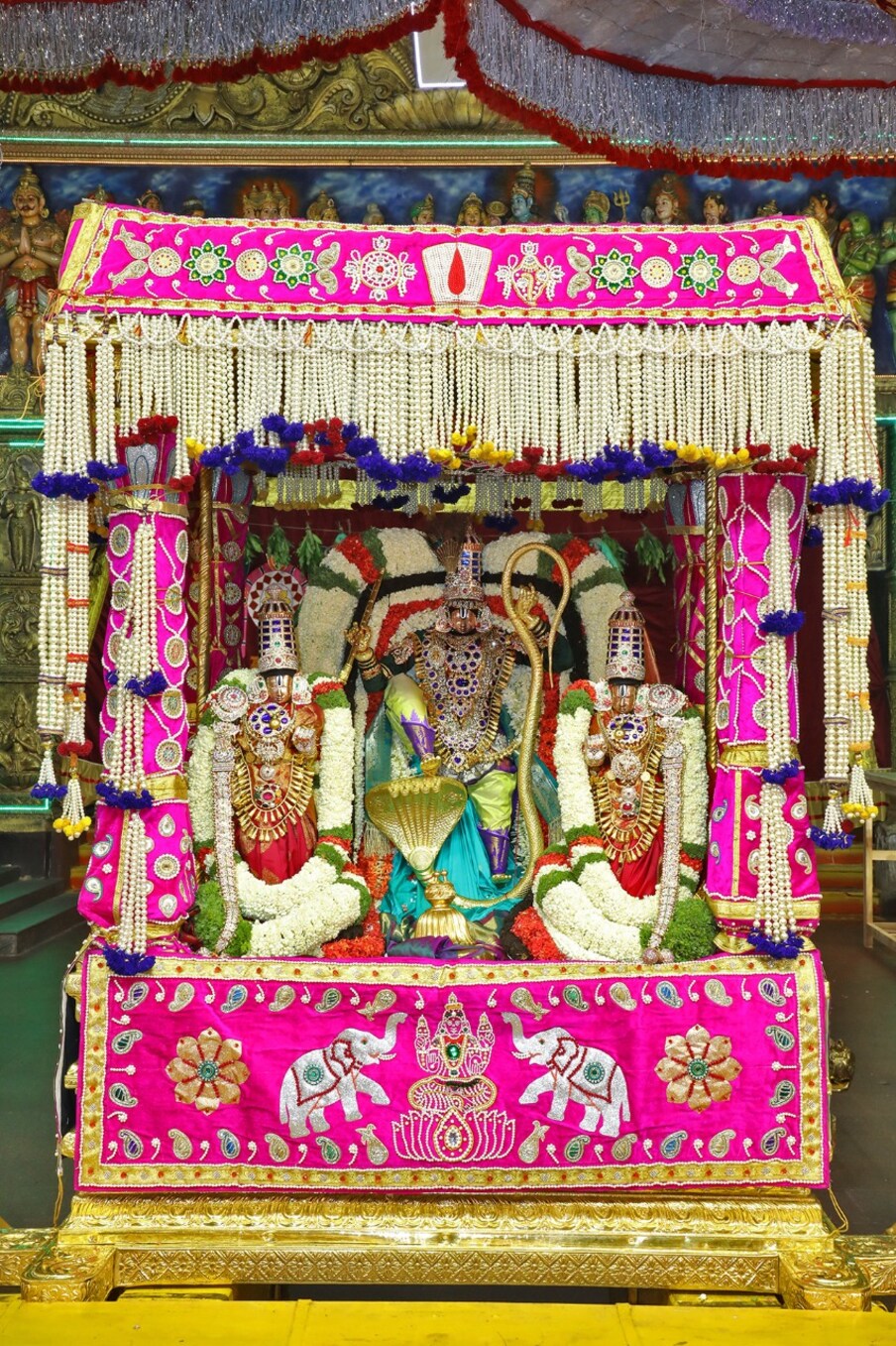  తిరుమలలో శ్రీవారి సాలకట్ల బ్రహ్మోత్సవాలు వైభవోపేతంగా కొనసాగుతున్నాయి. బ్రహ్మోత్సవాల్లో భాగంగా సోమవారం ఉదయం శ్రీ మలయప్పస్వామికి సింహవాహన సేవ నిర్వహించగా...రాత్రి ముత్యపు పందిరిపై శ్రీనివాసుడు దర్శనమిచ్చారు.