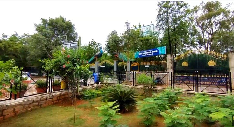 telangana government, open bars, open clubs, urban forest parks, covid 19 rules, coronavirus guidelines, తెలంగాణ ప్రభుత్వం, బార్లు, పబ్బులు, క్లబ్బులు, అర్బన్ ఫారెస్ట్ పార్కులు, కరోనా వైరస్, మార్గదర్శకాలు,