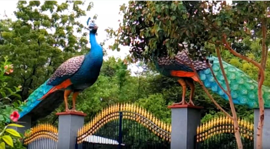 telangana government, open bars, open clubs, urban forest parks, covid 19 rules, coronavirus guidelines, తెలంగాణ ప్రభుత్వం, బార్లు, పబ్బులు, క్లబ్బులు, అర్బన్ ఫారెస్ట్ పార్కులు, కరోనా వైరస్, మార్గదర్శకాలు,