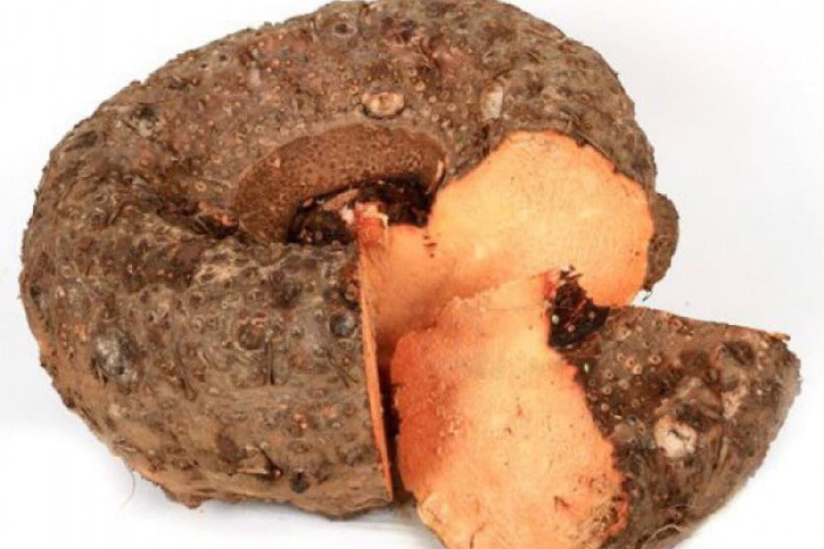 ఒక్క కంద... 10 లాభాలు... తప్పక తినాల్సిందే! News18 తెలుగు