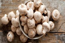 Mushrooms: పుట్టగొడుగుల్ని ఆహారంలో తీసుకుంటే ఇంత లాభమా..? తెలిస్తే అస్సలు వదలరు..!