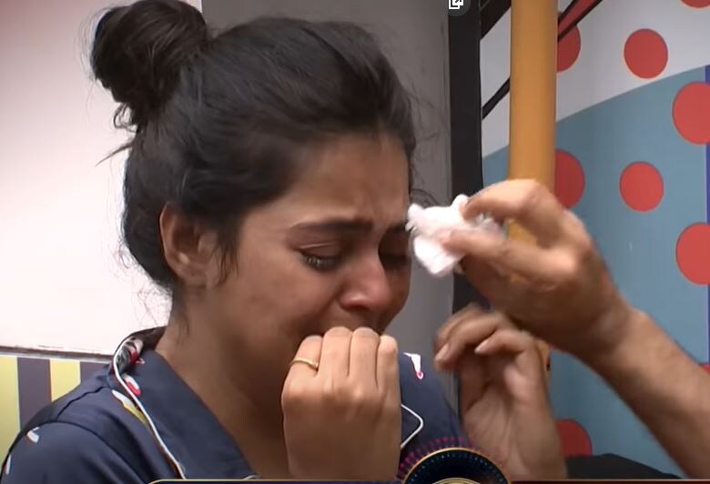 బిగ్ బాస్ 4 మోనాల్ (bigg boss 4 monal)