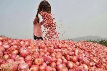 Onion Price: రెండు రోజుల వ్యవధిలో 28 శాతం పెరిగిన ఉల్లి ధర.. అదే కారణమా?
