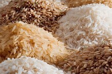 Heaven Rice: అంతరిక్ష బియ్యం.. చంద్రుడి మీది నుంచి వచ్చిన విత్తనాలతో అక్కడ వరి సాగు