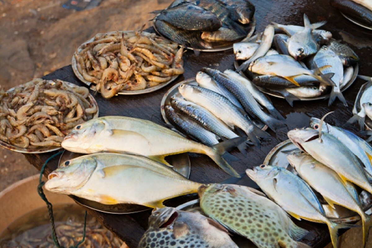 food items, hair fall, obesity, keratin, జుట్టు రాలడం, ఊబకాయం, కెరాటిన్, బట్టతల, ఆహారపదార్థాలు,