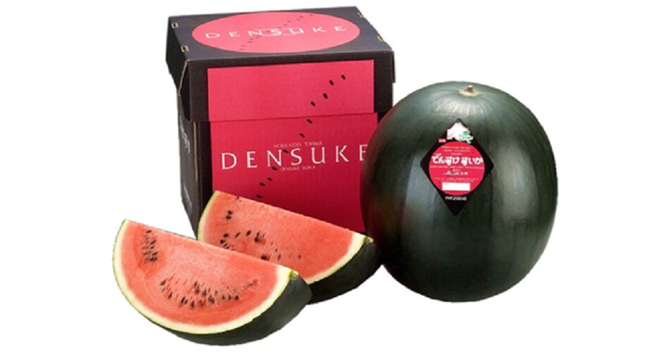  Densuke Watermelon: డెన్సుకే పుచ్చకాయను కూడా జపాన్‌లోనే పండిస్తున్నారు. ఈ పండ్లు ఏడాదికి 10 వేలకు మించి రావట్లేదు. అందుకే వీటి ధర చాలా ఎక్కువగా ఉంది. వీటి మరో ప్రత్యేకత ఏంటంటే ఇవి సైజులో చాలా పెద్దగా ఉంటాయి. అందువల్ల టేస్ట్ అదిరిపోతాయి. అందువల్లే వీటికి ప్రపంచమంతా డిమాండ్ ఉంది. ఫలితంగా ఈ పండు ఒక్కొక్కటీ రూ.4 లక్షలు ధర పలుకుతోంది.
