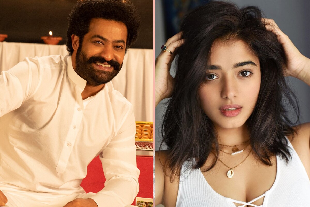 NTR Trivikram Movie kethika Sharma Will Play Second Heroine charecter here are the details,ntr trivikram,ntr trivikram budget cut,jr ntr trivikram cast cutting,jr ntr trivikram,jr ntr,jr ntr nabha natesh,nabha natesh act with jr ntr,nabha natesh jr ntr trivikram,ntr trivikram political backdrop movie,ntr,jr ntr,rrr,rrr jr ntr,trivikram, ayinanu poyiraavale hasthinaku,ntr trivikram title ayinanu poyiraavale hasthinaku,ala vaikunthapurramloo,Trivikarm to work with NTR for his next movie,jr ntr,jr ntr new movie,jr ntr movies,jr ntr upcoming movie,trivikram,trivikram movies,jr ntr new look for his next movie revealed,ntr movies,jr ntr and trivikram srinivas new movie,jr ntr and trivikram srinivas new movie confirm,trivikram srinivas with jr ntr,jr ntr trivikram srinivas movie,anirudh music for trivikram and jr ntr next movie,jr ntr hard work for his new makeover,త్రివిక్రమ్,ఎన్టీఆర్,అరవింద సమేత వీరరాఘవ,అయినను పోయిరావలె హస్తినకు,అయినను పోయిరావలె హస్తినకు ఎన్టీఆర్ నెక్ట్స్ మూవీ టైటిల్,రాజకీయ నేపథ్యంలో ఎన్టీఆర్ త్రివిక్రమ్ సినిమా,నభా నటేష్,నభా నటేష్ జూనియర్ ఎన్టీఆర్,ఎన్టీఆర్ నభా నటేష్,నభా నటేష్ హీరోయిన్గా ఎన్టీఆర్,ఎన్టీఆర్ త్రివిక్రమ్ సినిమాకు భారీ కోత