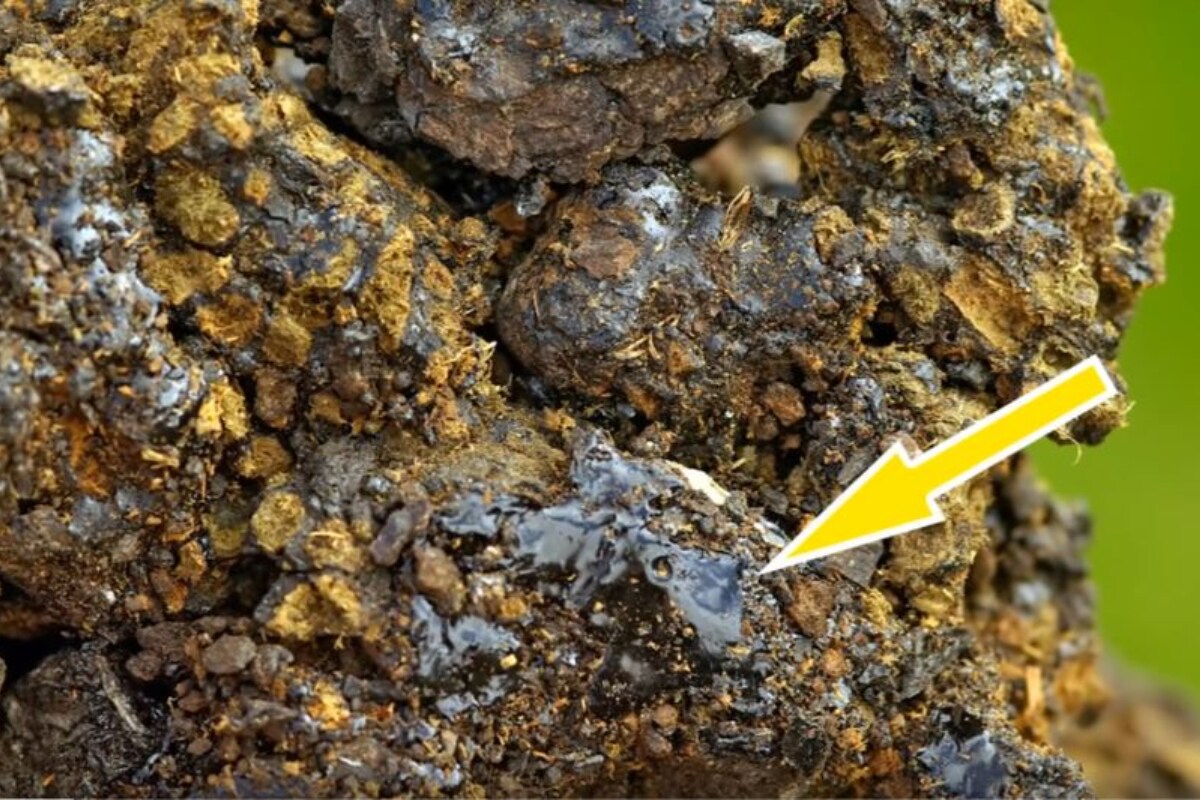  1.Shilajit: శిలాజిత్‌ ఒక ఆయుర్వేద ఔషధం. ఇది ఆరోగ్యం, శ్రేయస్సు (well-being)పై సానుకూల ప్రభావం చూపుతుంది. పని సంబంధిత ఒత్తిడి, ఆందోళనతో బాధపడుతున్నవారు, డిప్రెషన్ బారిన పడినవారు దీన్ని వాడవచ్చు. దీంట్లో ఉండే జింక్, మెగ్నీషియం, పొటాషియం వంటి పోషకాలు మానసిక ఆరోగ్యంపై ప్రభావం చూపిస్తాయి. ఉపకర్మ ఆయుర్వేద వారి శిలాజిత్ రెసిన్, ఆధార్ సంస్థ నుంచి వచ్చిన స్టే ప్రో యాక్టివ్ వంటి శిలాజిత్ ఉత్పత్తులతో మానసిక ప్రశాంతత లభిస్తుంది. తద్వారా ఒత్తిడి, ఆందోళనకు దూరంగా ఉండవచ్చు. (image credit - youtube - Netera Alchemy)