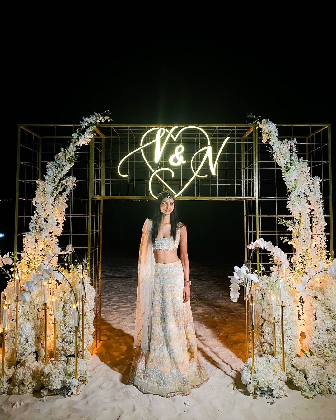  నిహారిక పెళ్లిలో మెగా ఫ్యామిలీ ఫోటో కలెక్షన్ (Niharika Wedding/instagram)