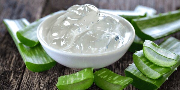  2014లో అలోవెరా రసాన్ని ఎలుకలు, చుంచెలుకలపై ప్రయోగించారు. అలోవెరా... టెస్టోస్టిరాన్ హార్మోన్‌ను వృద్ధి చేస్తుందనీ... స్పెర్మ్ కౌంట్ పెంచుతుందనీ అనుకున్నారు. కానీ ఫలితాలు చూస్తే నెగెటివ్ వచ్చాయి.