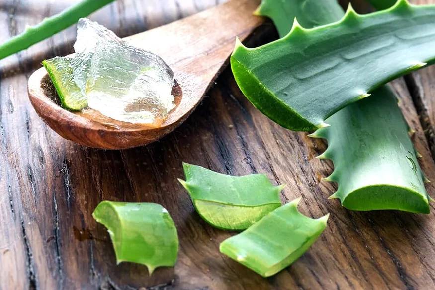  చుంచెలుకల్లో టెస్టోస్టిరాన్, స్పెర్మ్ కౌంట్ రెండూ తక్కువగానే ఉన్నాయి. అంతకుముందు 2011లో స్పెర్మ్ కౌంట్‌పై చేసిన పరిశోధనల్లోనూ నెగెటివ్ ఫలితాలే వచ్చాయి.