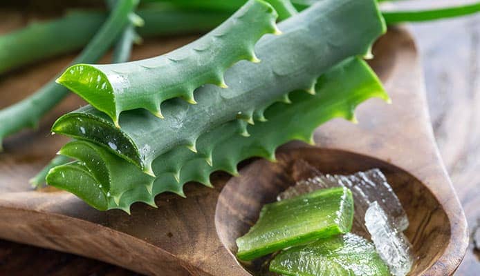  కొంతమంది తమ మర్మాంగాలు, వృషణాలపై అలోవెరా రసాన్ని రాస్తుంటారు. దాని వల్ల మంచి ఫలితాలేవీ లేకపోగా... నెగెటివ్ సమస్యలు వస్తాయని డాక్టర్లు హెచ్చరిస్తున్నారు. సెక్స్ సమస్యలకు పరిష్కారంగా... జామ, దానిమ్మ, నట్స్, పాలు, పప్పులు, ఖర్జూరం వంటివి తినాలని చెబుతున్నారు.