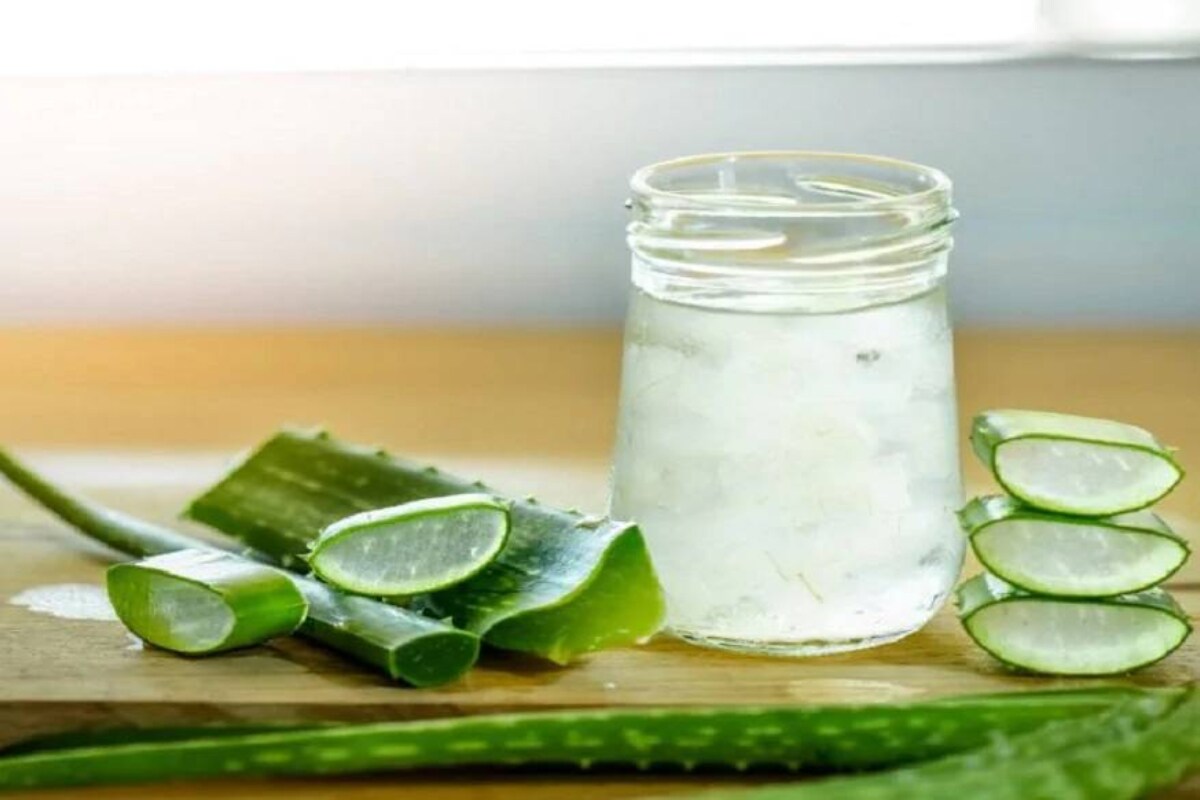 Aloe vera juice outlet benefits in telugu