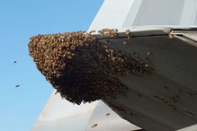 Honeybees land on aircraft: విమానాలపై తేనెటీగల దాడి. ప్రయాణికుల పరిస్థితేంటి