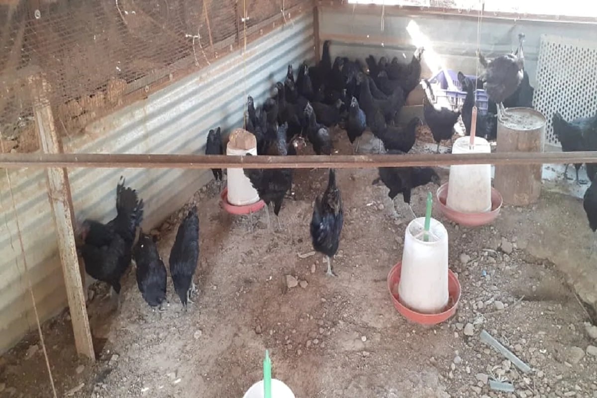  ఈ నిర్ణయం తీసుకున్న సీఎం కేసీఆర్‌కు ఆయన ధన్యవాదాలు తెలిపారు. (ప్రతీకాత్మక చిత్రం)