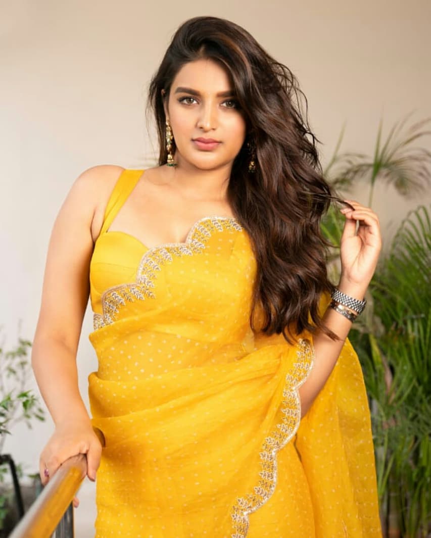  Nidhhi Agerwal: నిధి అగర్వాల్ లేటెస్ట్ పిక్స్.. Photo: Instagram